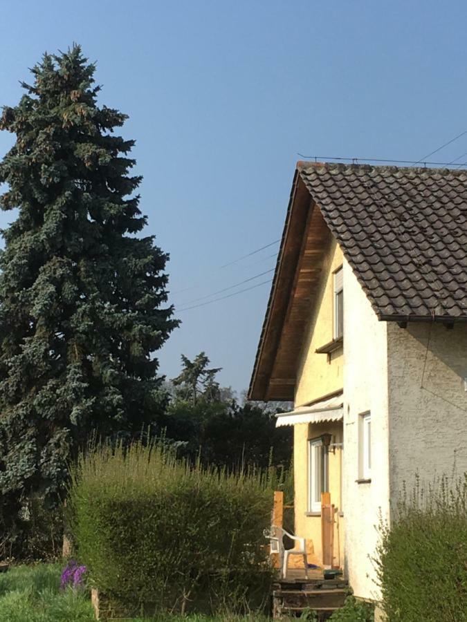 Riedwiesen Bad Rappenau Kültér fotó